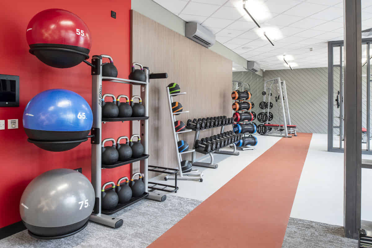 Luna, Hatfield - Hatfield, England, United Kingdom - Amenities