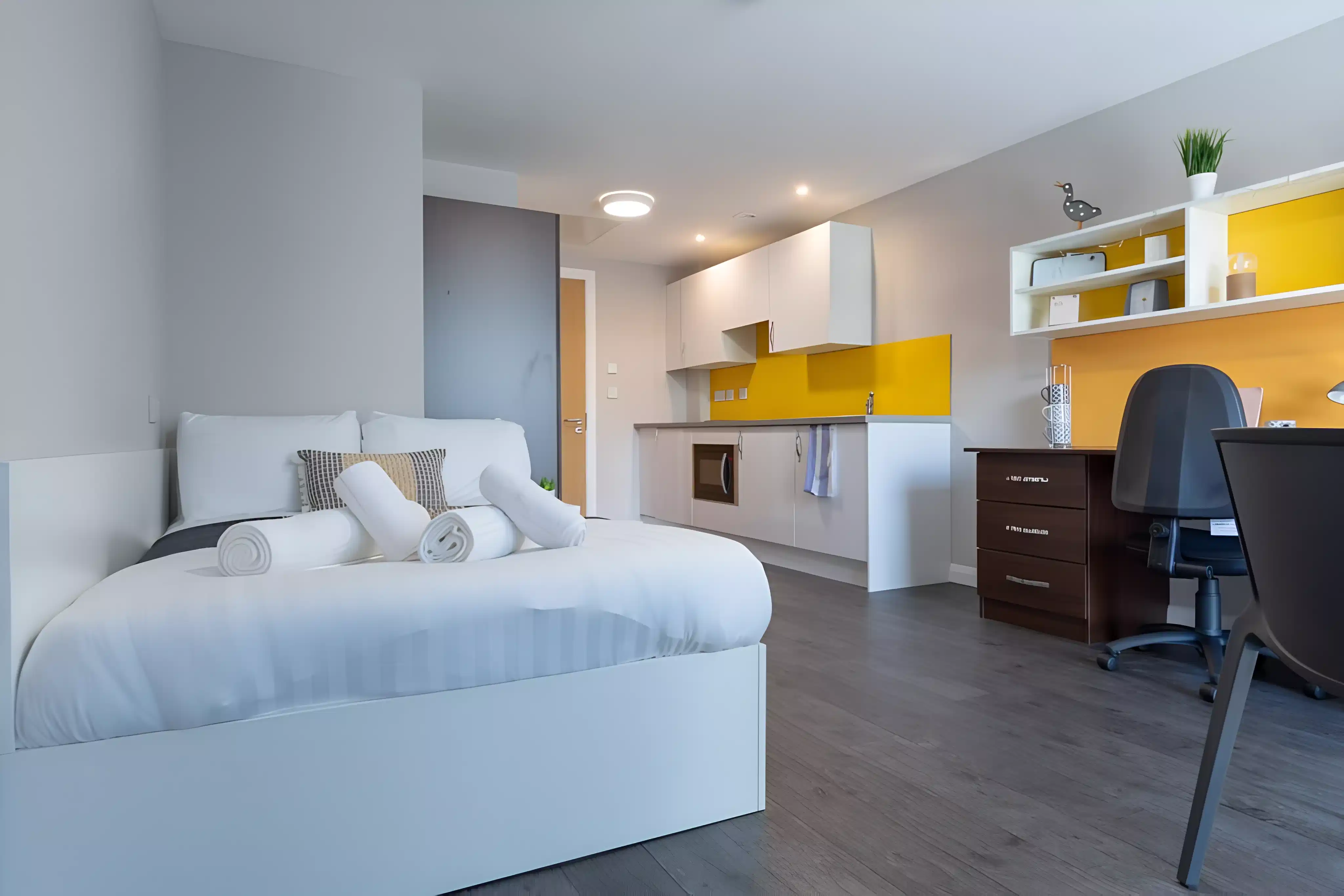 Penthouse Studio