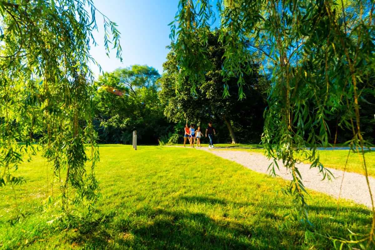 Woodland Mews, Ann Arbor - Ann Arbor, Michigan, United States - Exterior