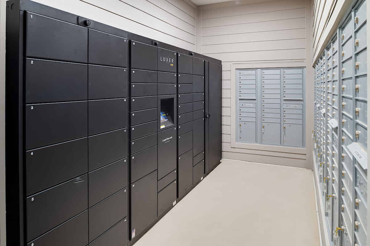 Anthem House, Gainesville - Gainesville, Florida, United States - Amenities