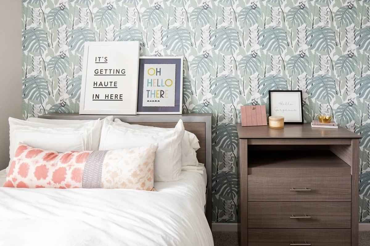 Campus Circle Gainesville, Gainesville - Gainesville, Florida, United States - Bedroom