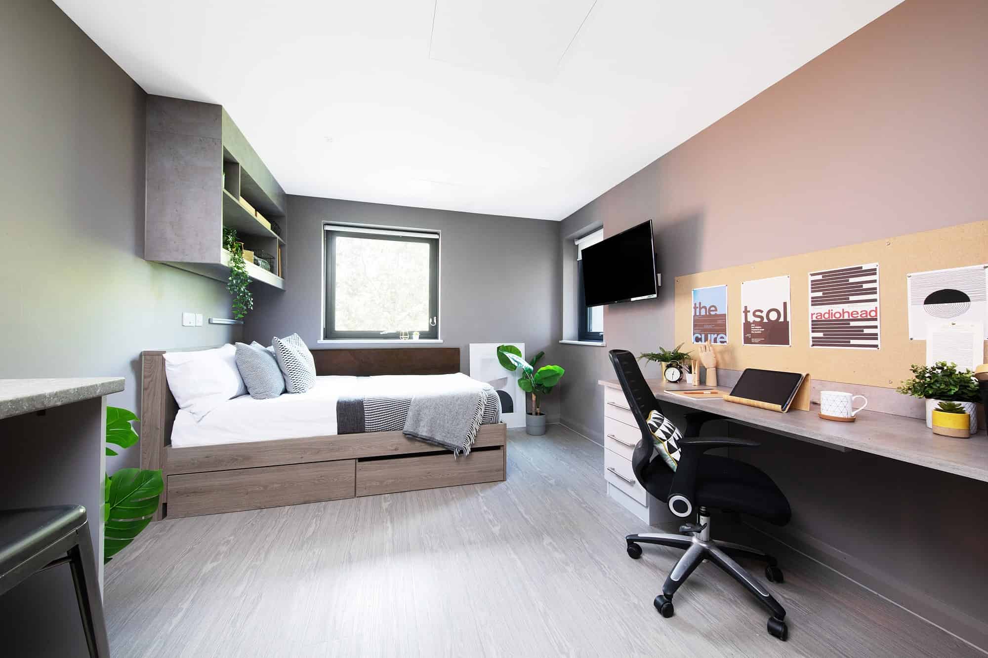 Premier Studio