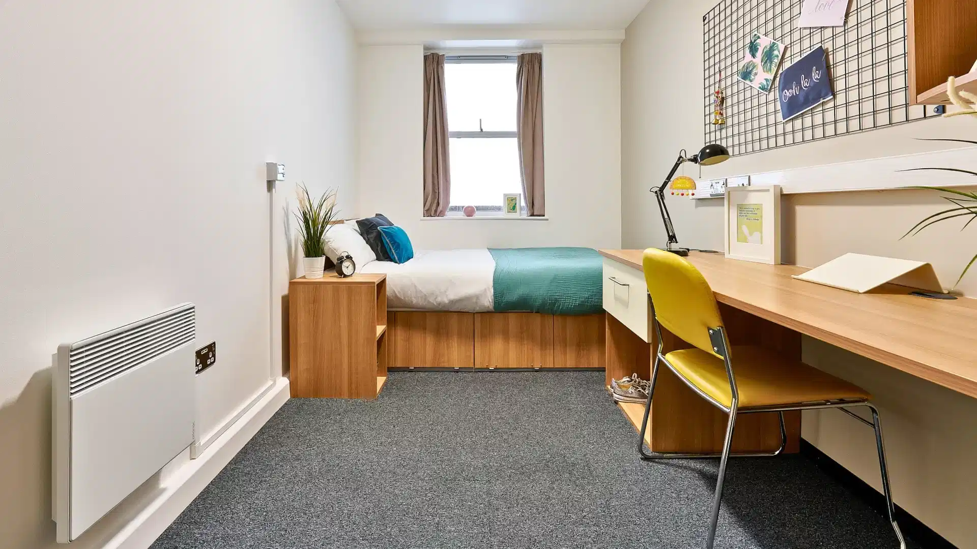 Northernhay House, Exeter - Exeter, England, United Kingdom - Classic Shared Apartment  - Bedroom