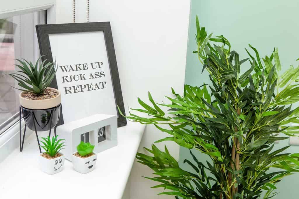 Ty Glyn, Bangor - Bangor, Wales, United Kingdom - Amenities