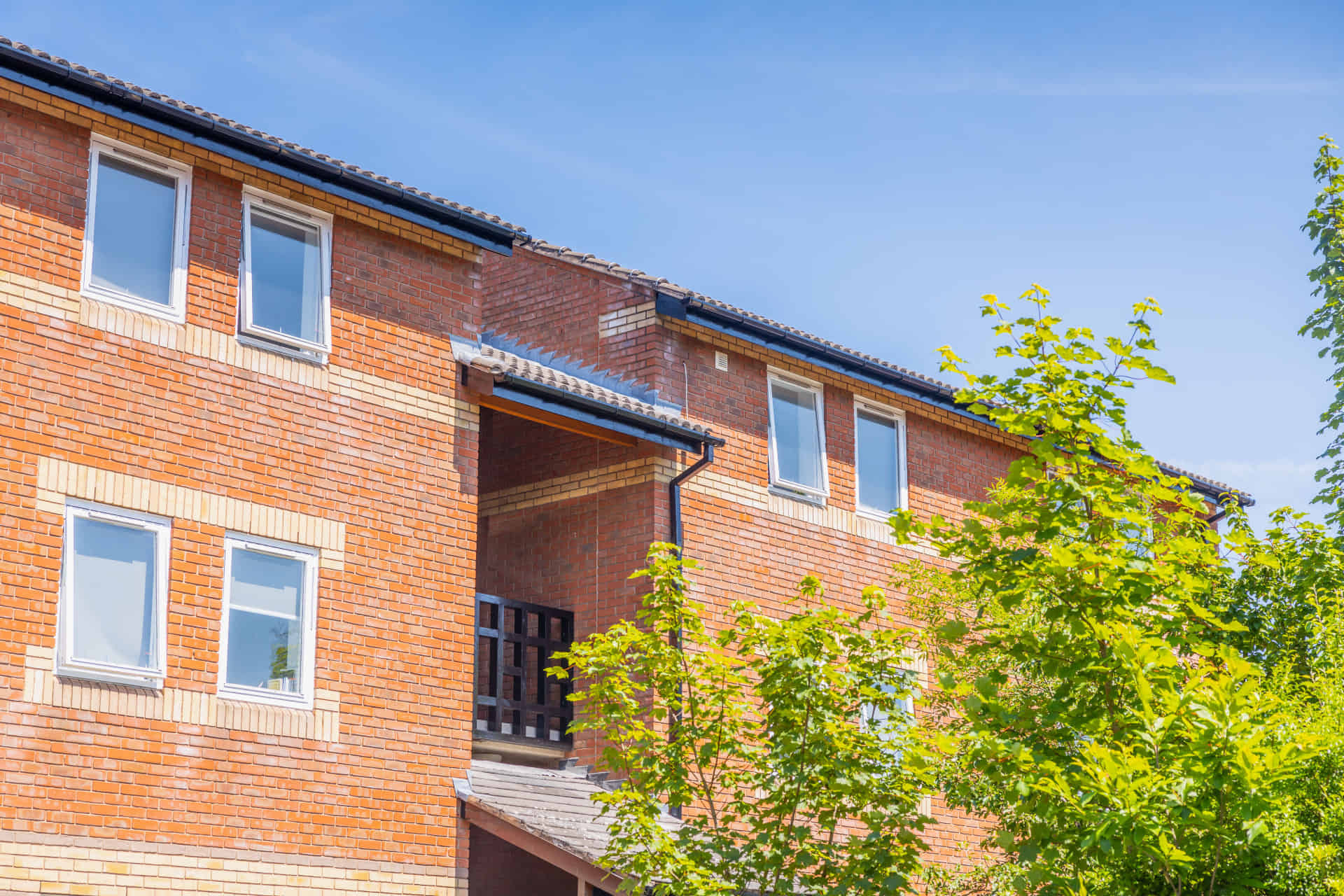 Beech Gardens, Birmingham image 8