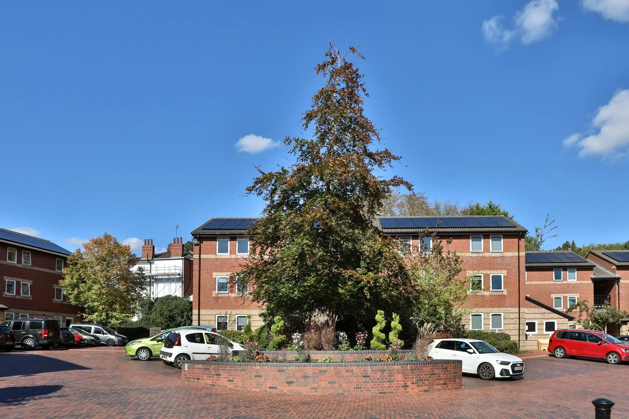 Beech Gardens, Birmingham image 42
