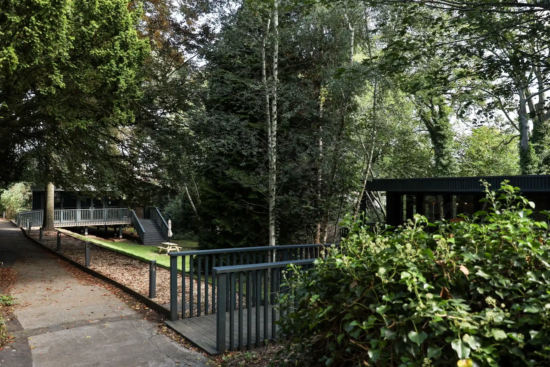 Beech Gardens, Birmingham image 47