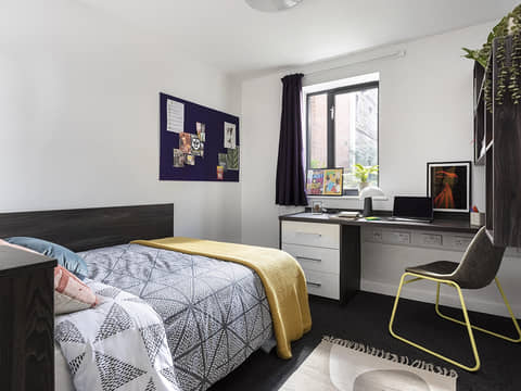 Liverpool Student Accommodation 2024/25 | Amber