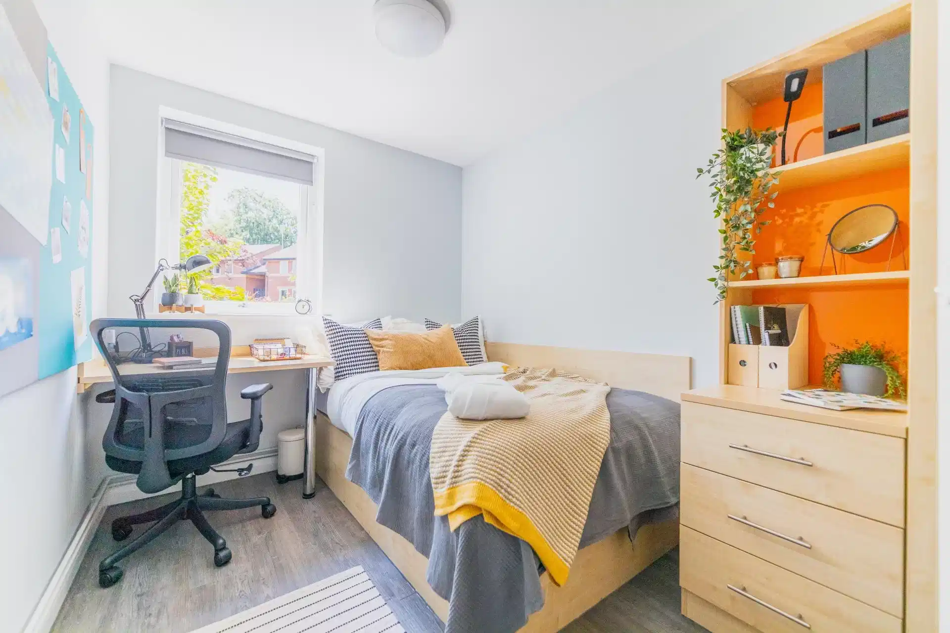 Gold Plus Room