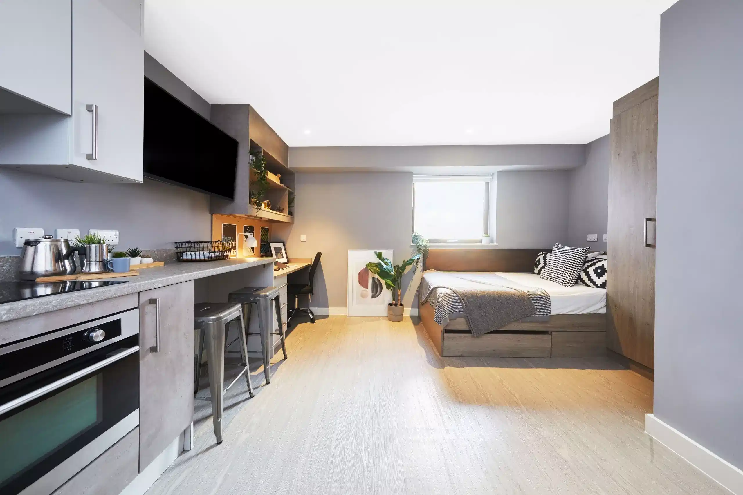 Premier Studio Plus