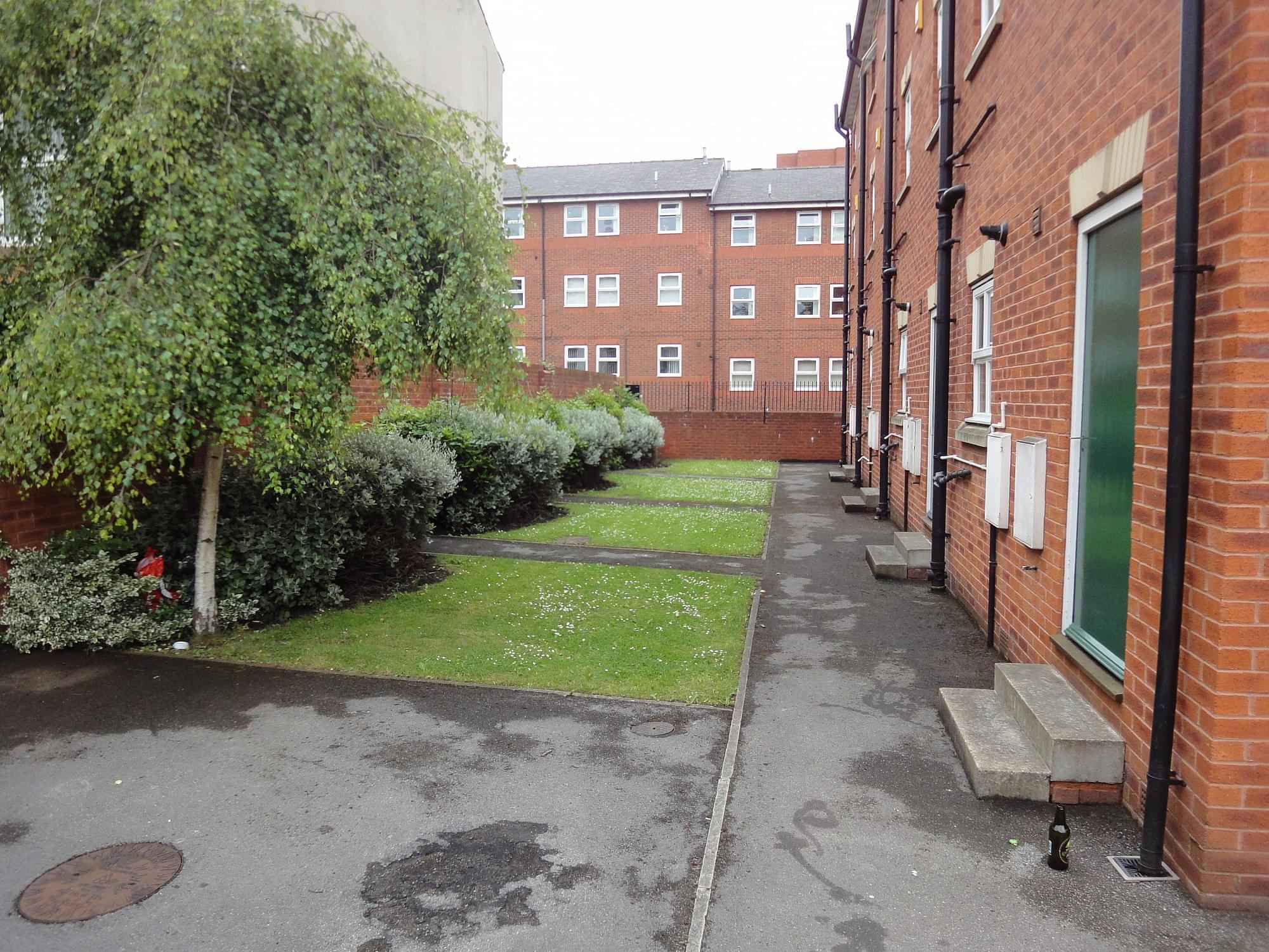 54?w=400&h=260&fit=crop&q=40&auto=format&trim=auto