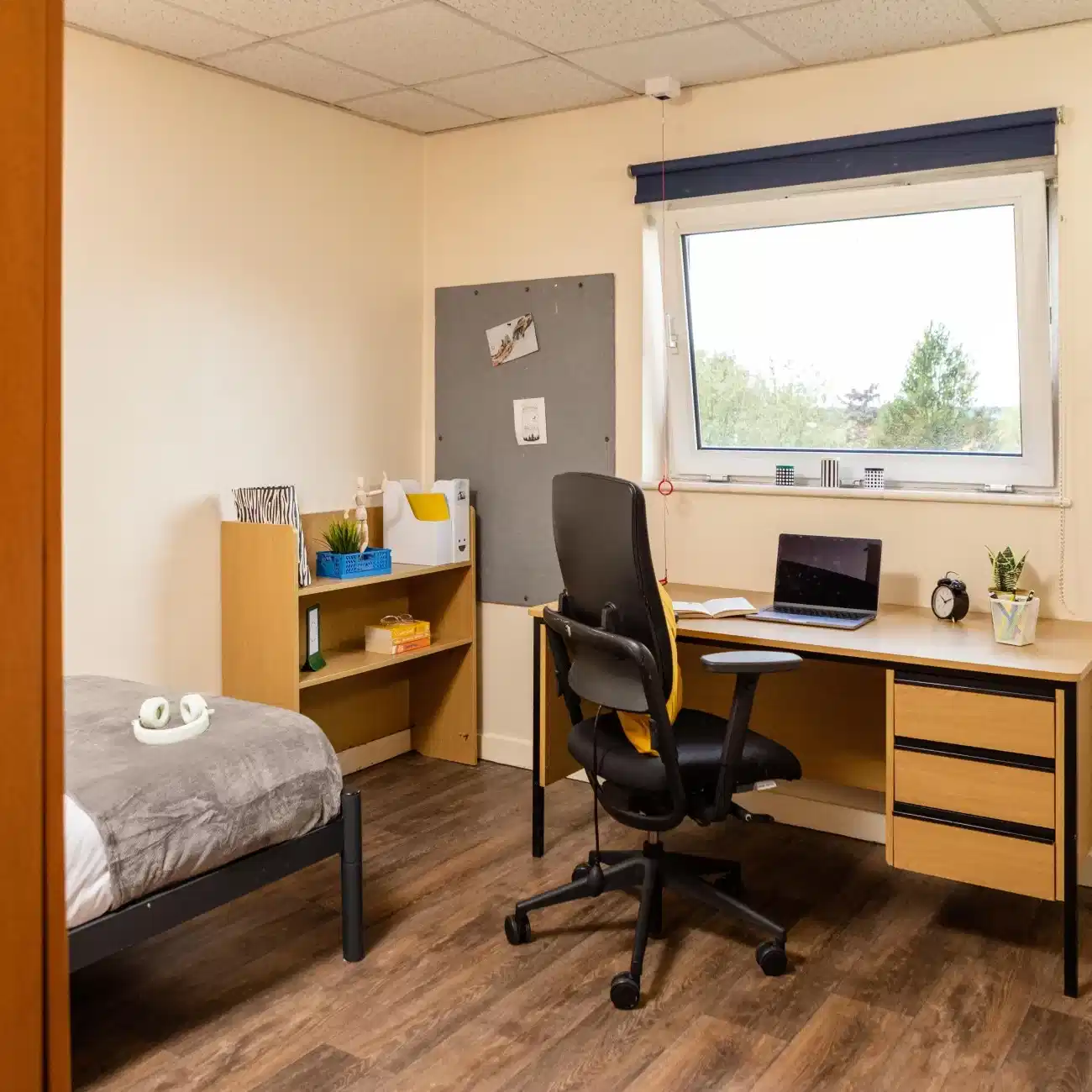 Bronze Accessible room