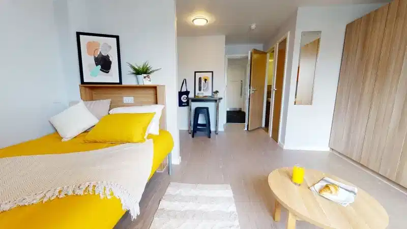 Gold Studio Deluxe