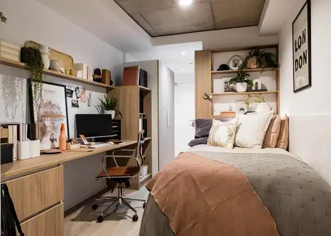 Bronze Studio Mid Premium Level
