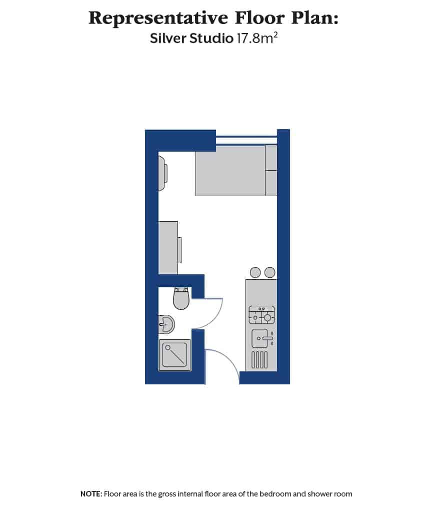 Silver Studio