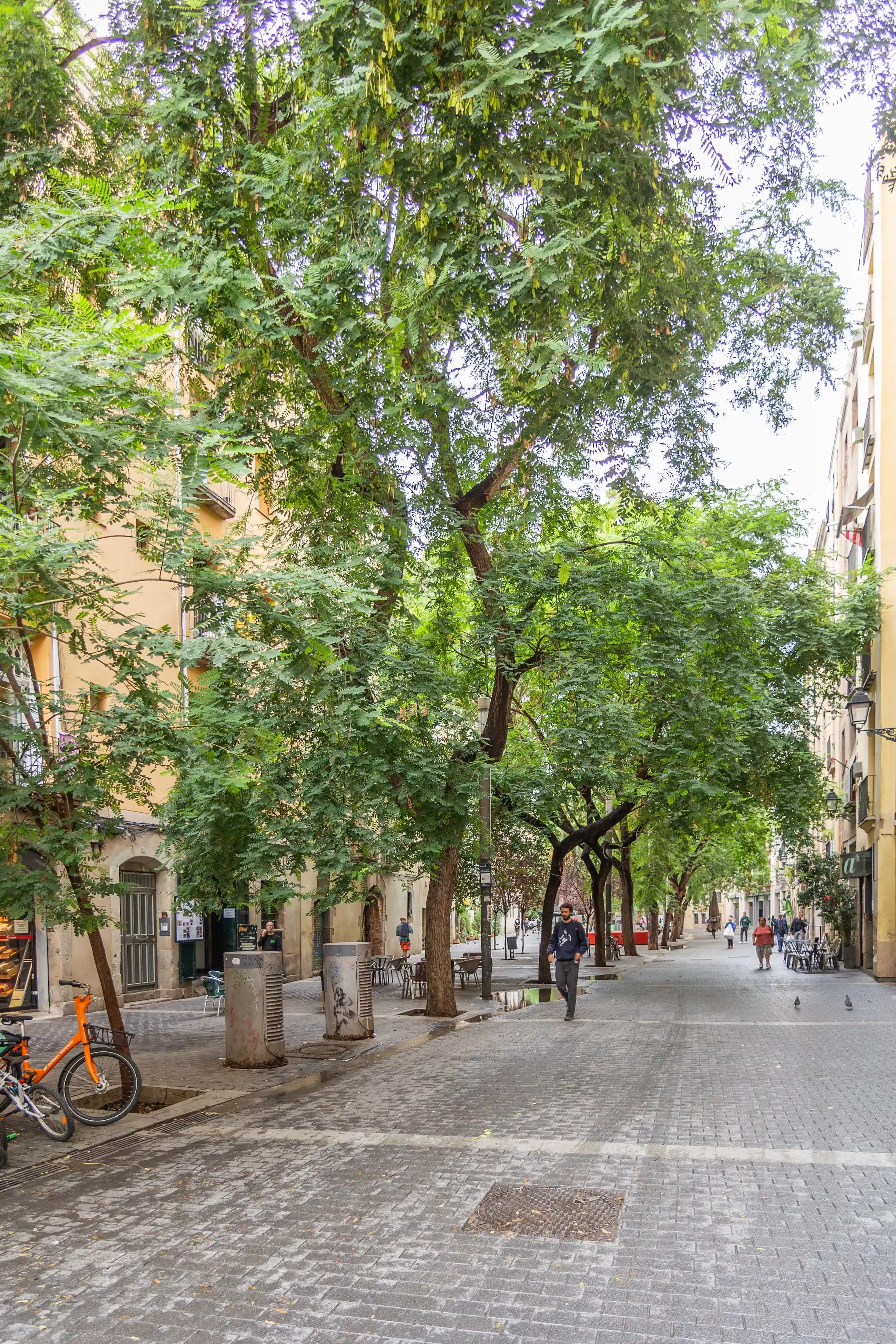 Born, Barcelona - Barcelona, Spain - Exterior