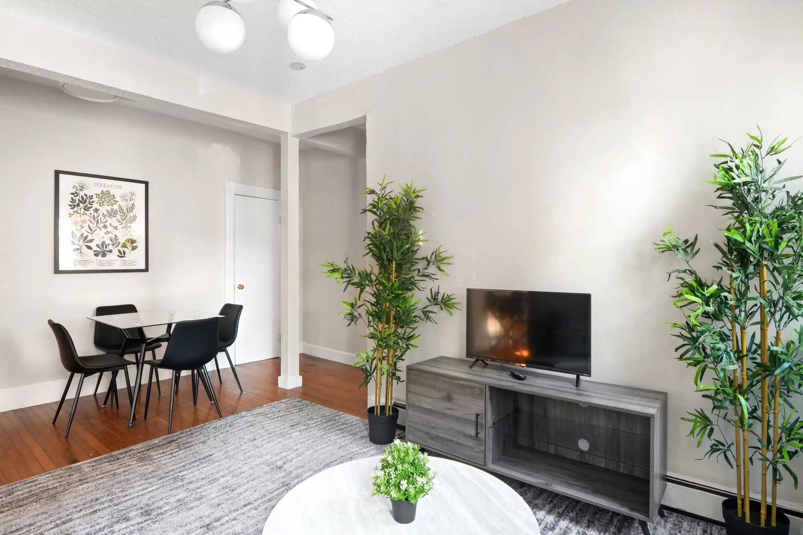 June Homes 02130, Boston view 6