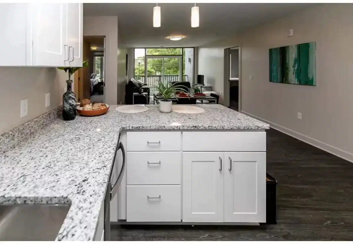 Lofts At Gold Street, Rochester - Rochester, New York, United States - Kitchen