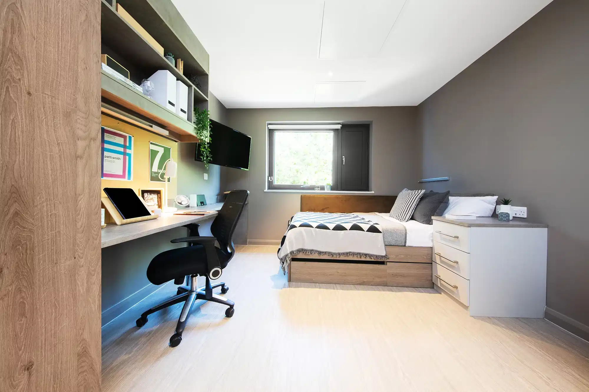 Gold Studio