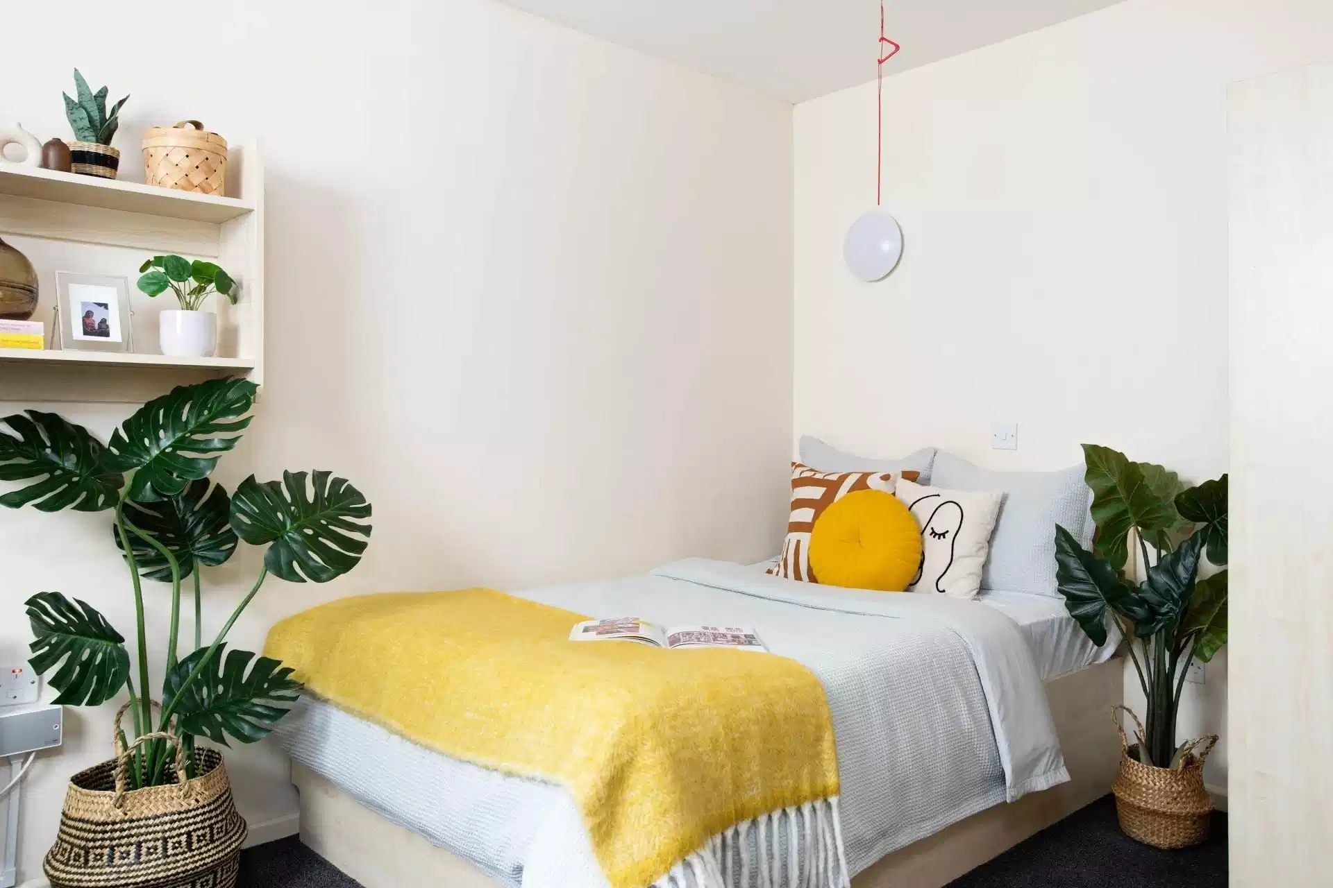 Premium Accessible Studio