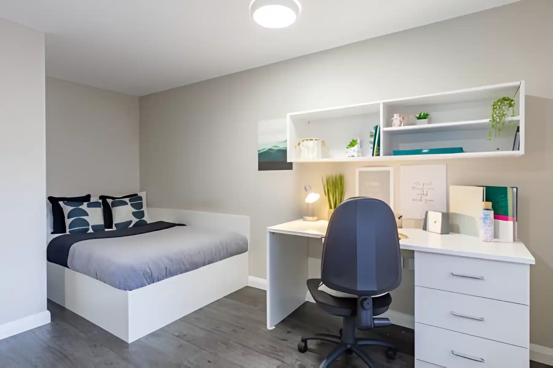 Premier Studio W/ Accessible Bathroom