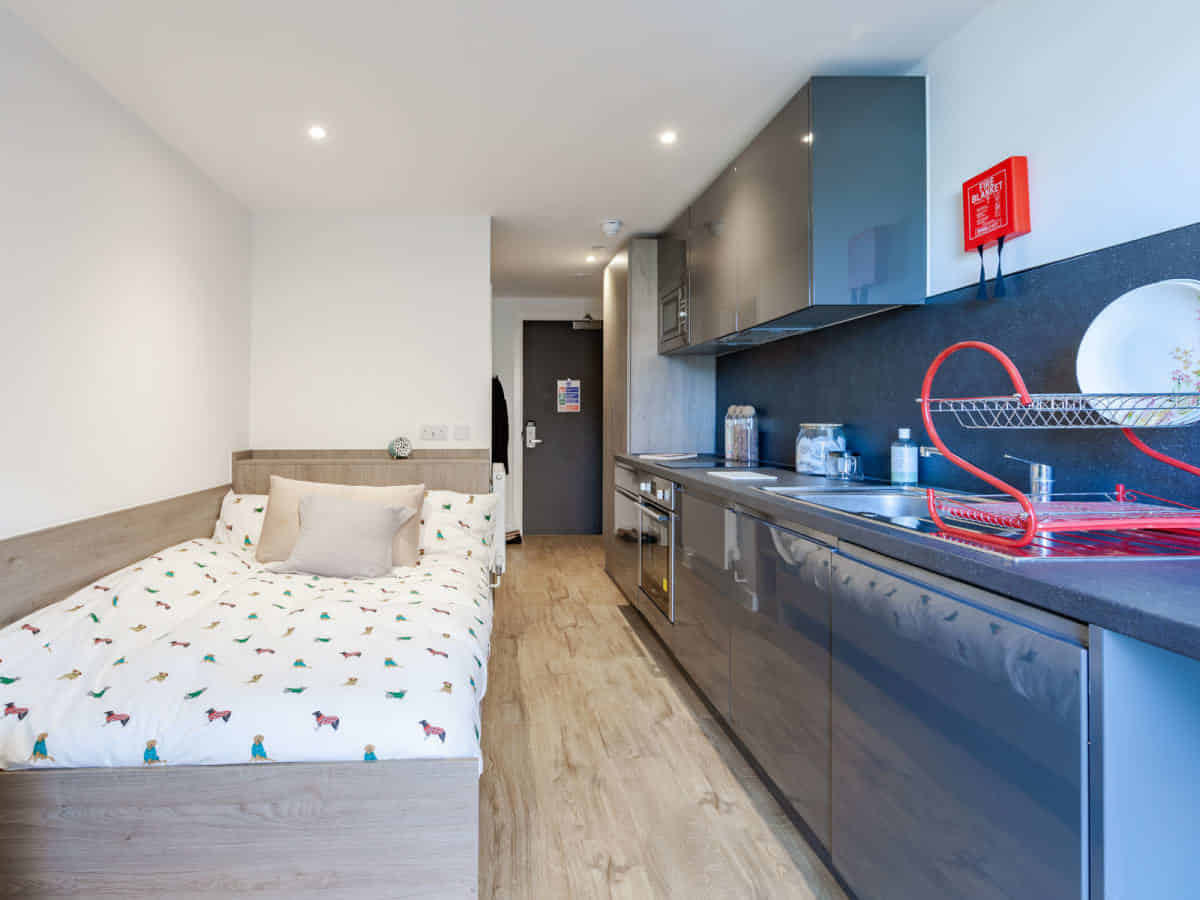 Pavilion Point, Brighton - Brighton and Hove, England, United Kingdom - Bedroom