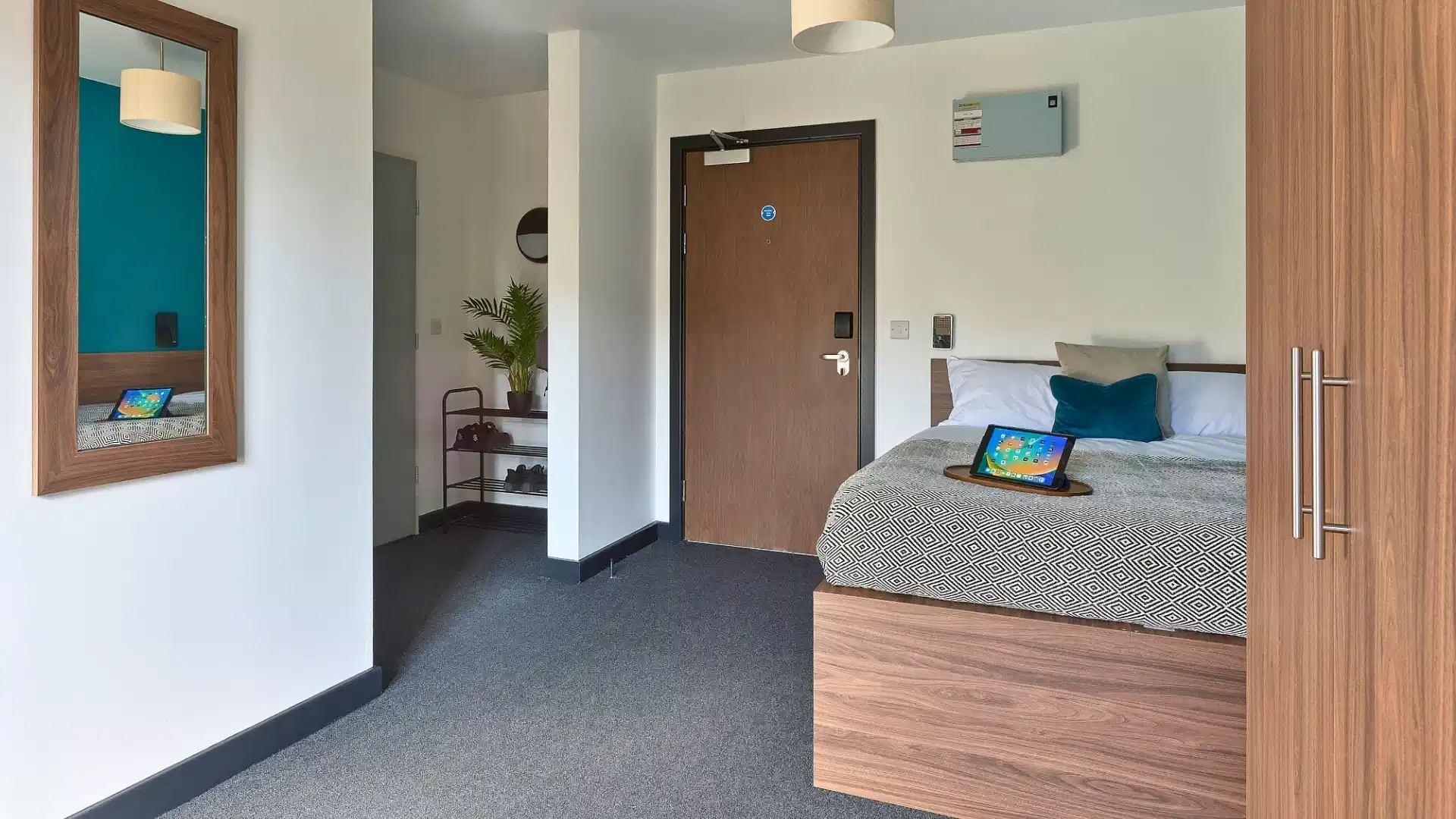 One Bed Gold - Flat