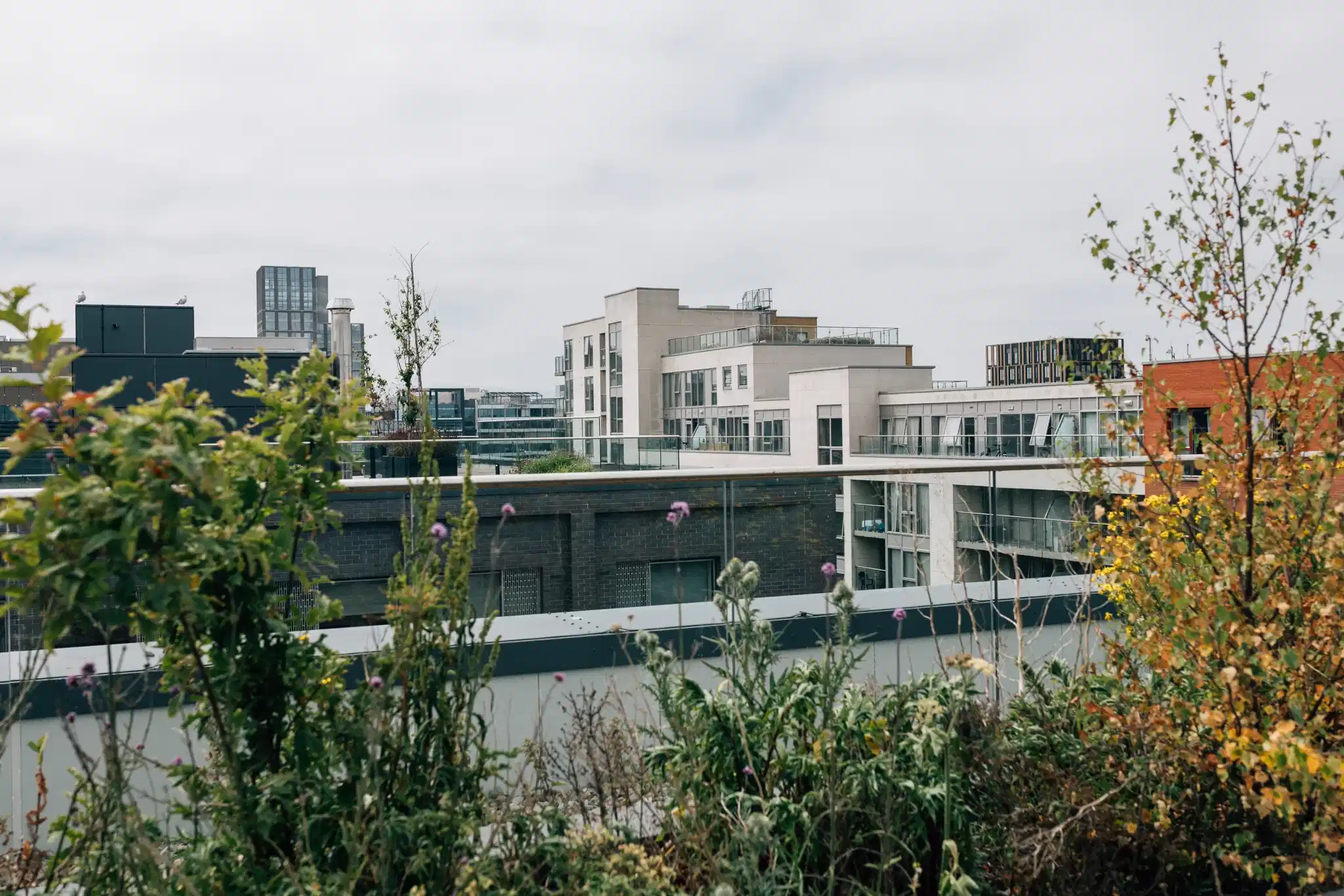 Canvas Point Campus, Dublin image 26