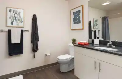 SkyVue, Pittsburgh - Pittsburgh, Pennsylvania, United States - Bathroom