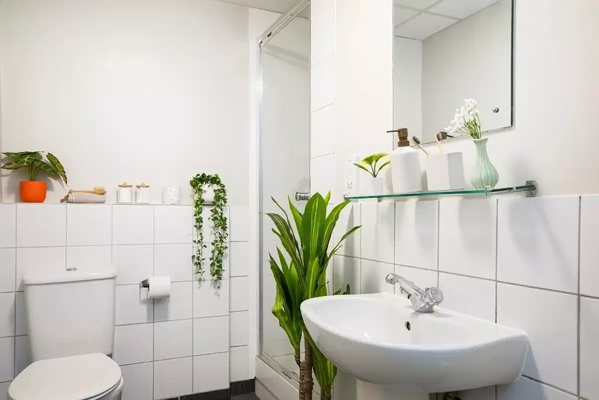 Premium Range 1 Non Ensuite - Bedroom?w=400&h=260&fit=crop&q=40&auto=format&trim=auto