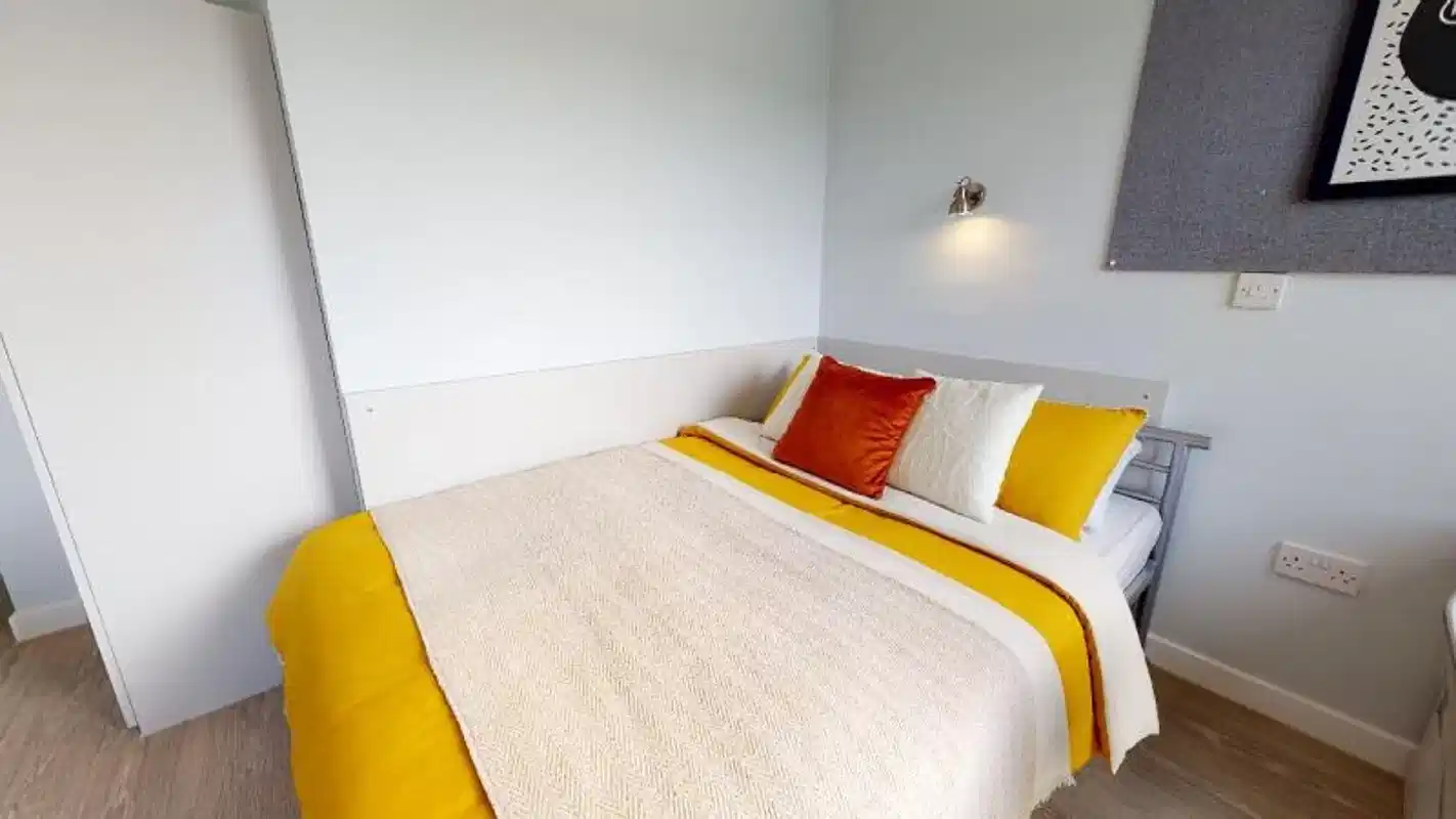 Gold Studio Deluxe