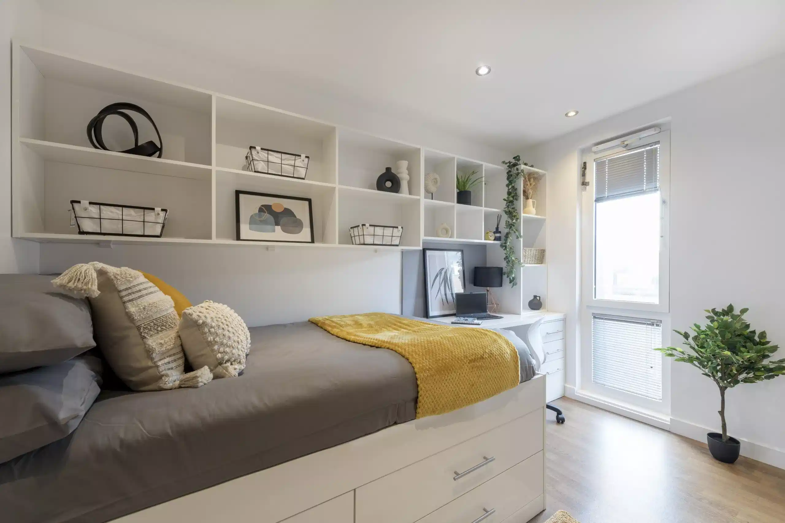 Premier Ensuite in a 13 bed apartment