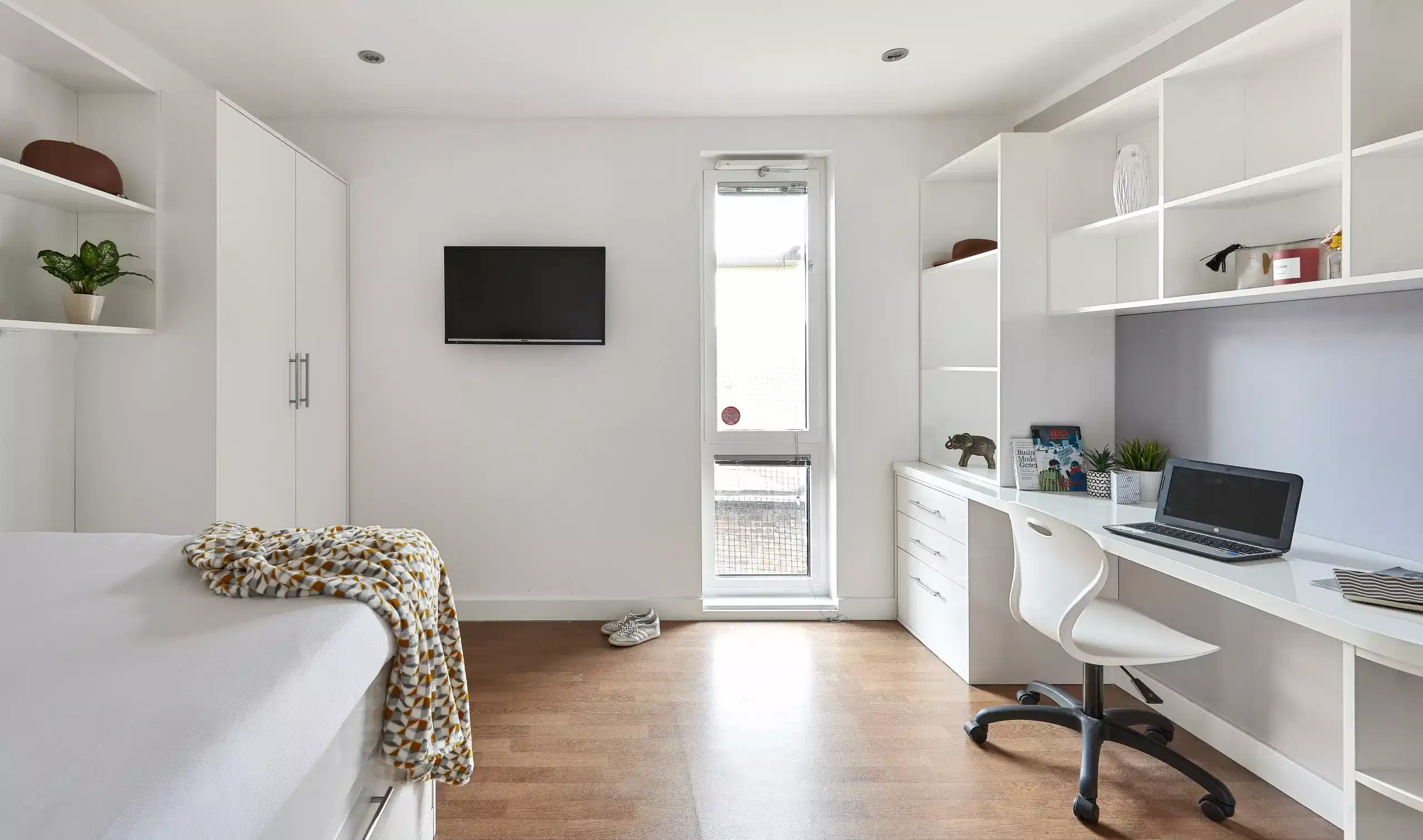 Premier Ensuite Plus in a 13 bed apartment