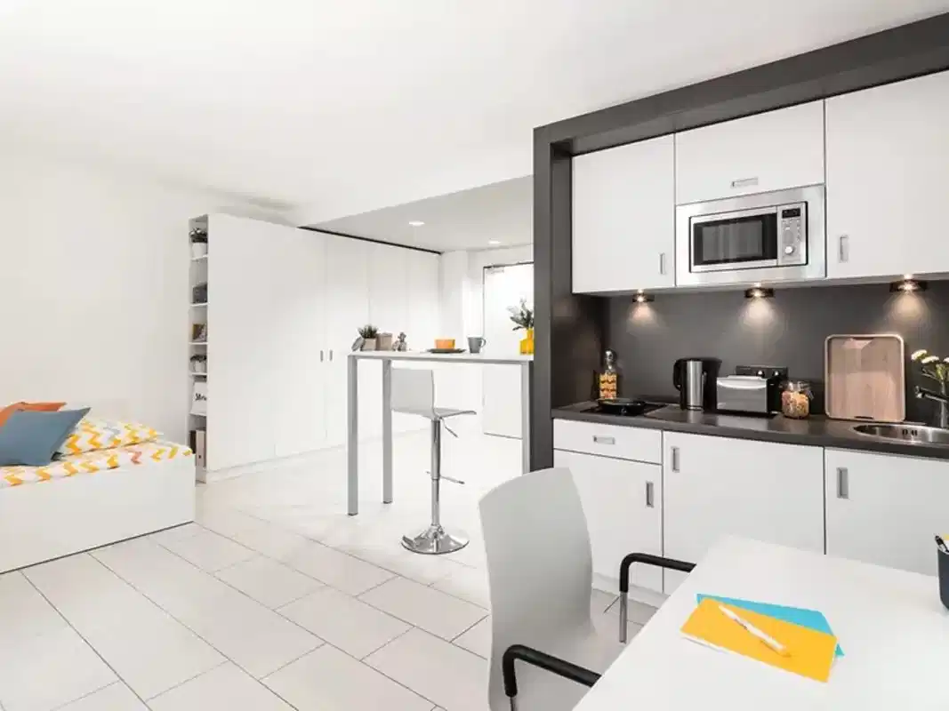 Extra Large Silver Studio (31 sqm)