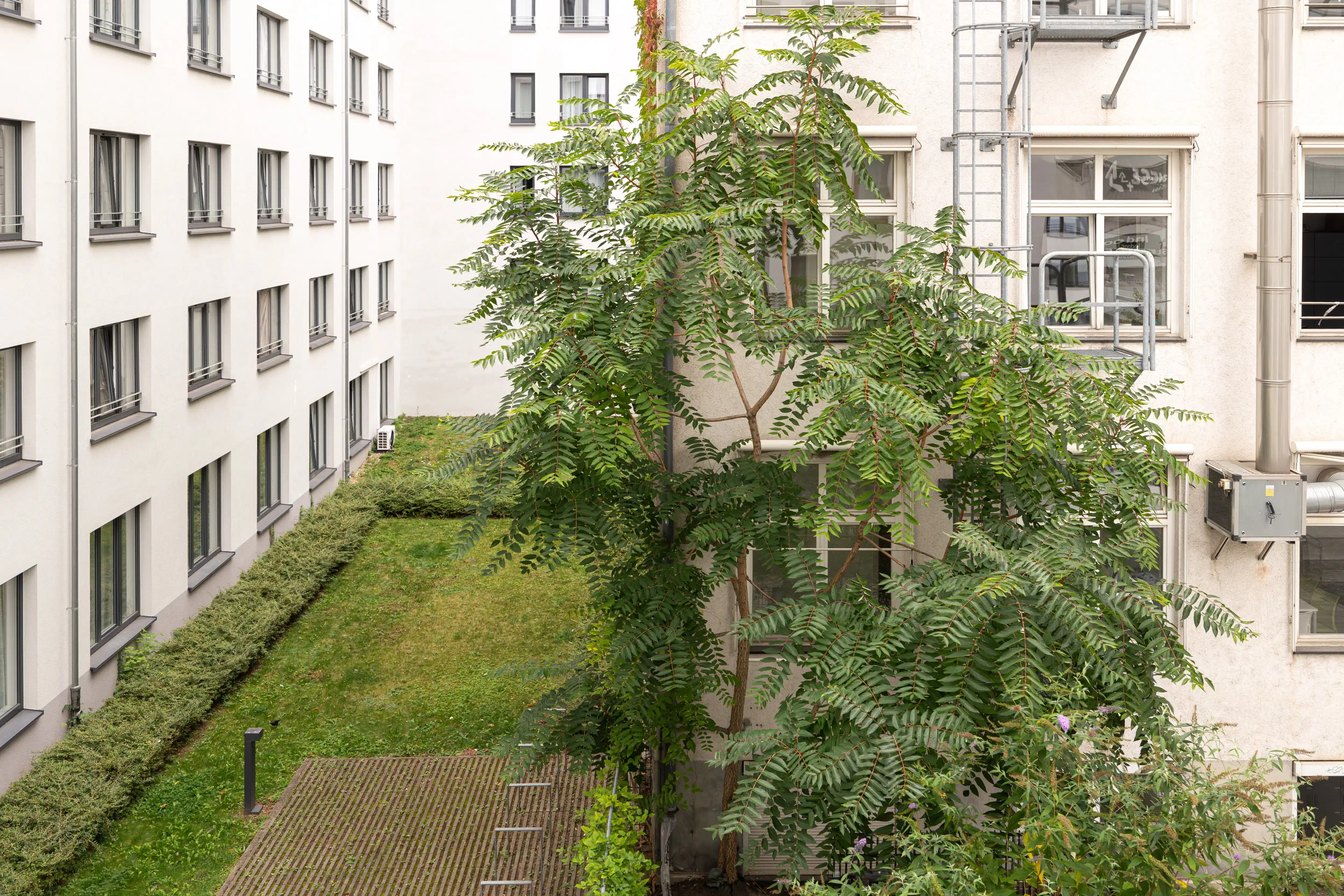 Yugo Urbanum, Frankfurt image 16