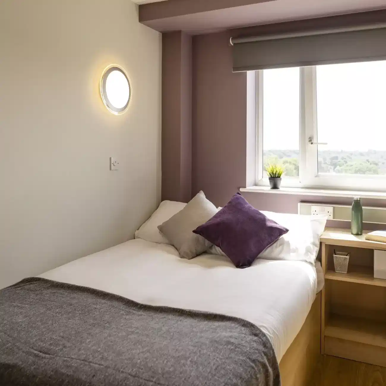 Silver Plus Ensuite