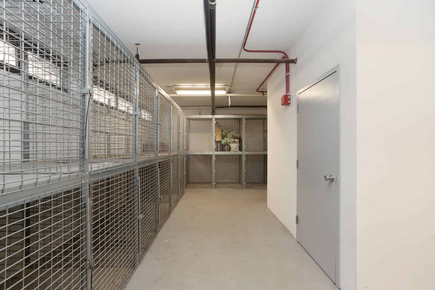 Algonquin Apartments, Chicago 4