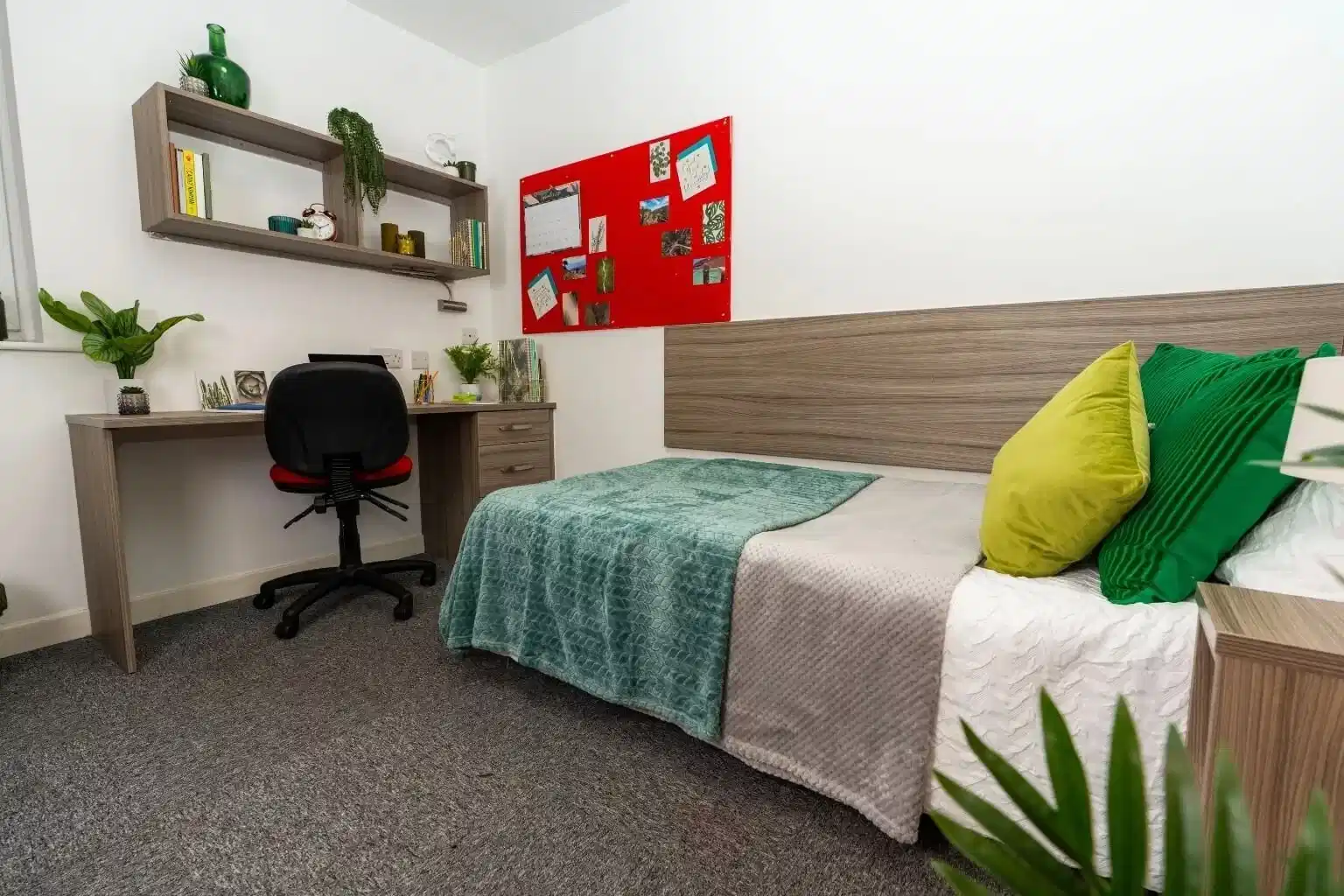 Double Ensuite - Amenities?w=400&h=260&fit=crop&q=40&auto=format&trim=auto