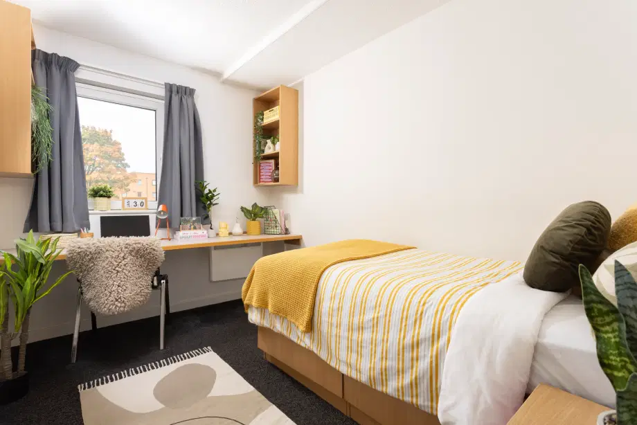 Rosamond House Manchester Student Housing Amber rosamond-house-manchester-student-housing-amber