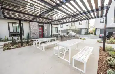 161 Schick, Irvine - Irvine, California, United States - Common Area