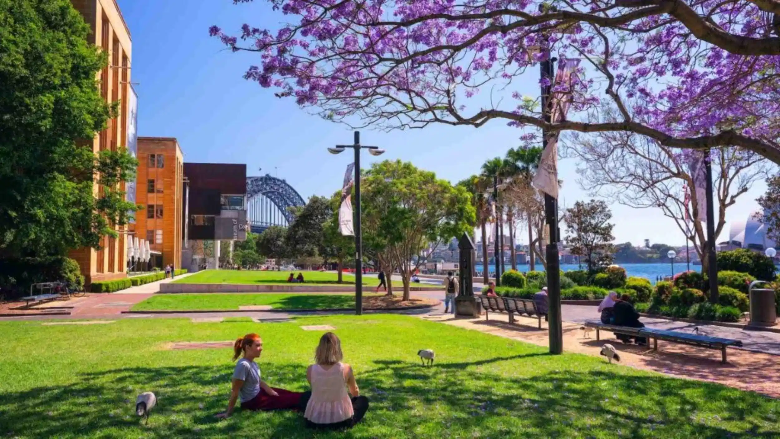 Insulr Glebe High, Sydney view 5