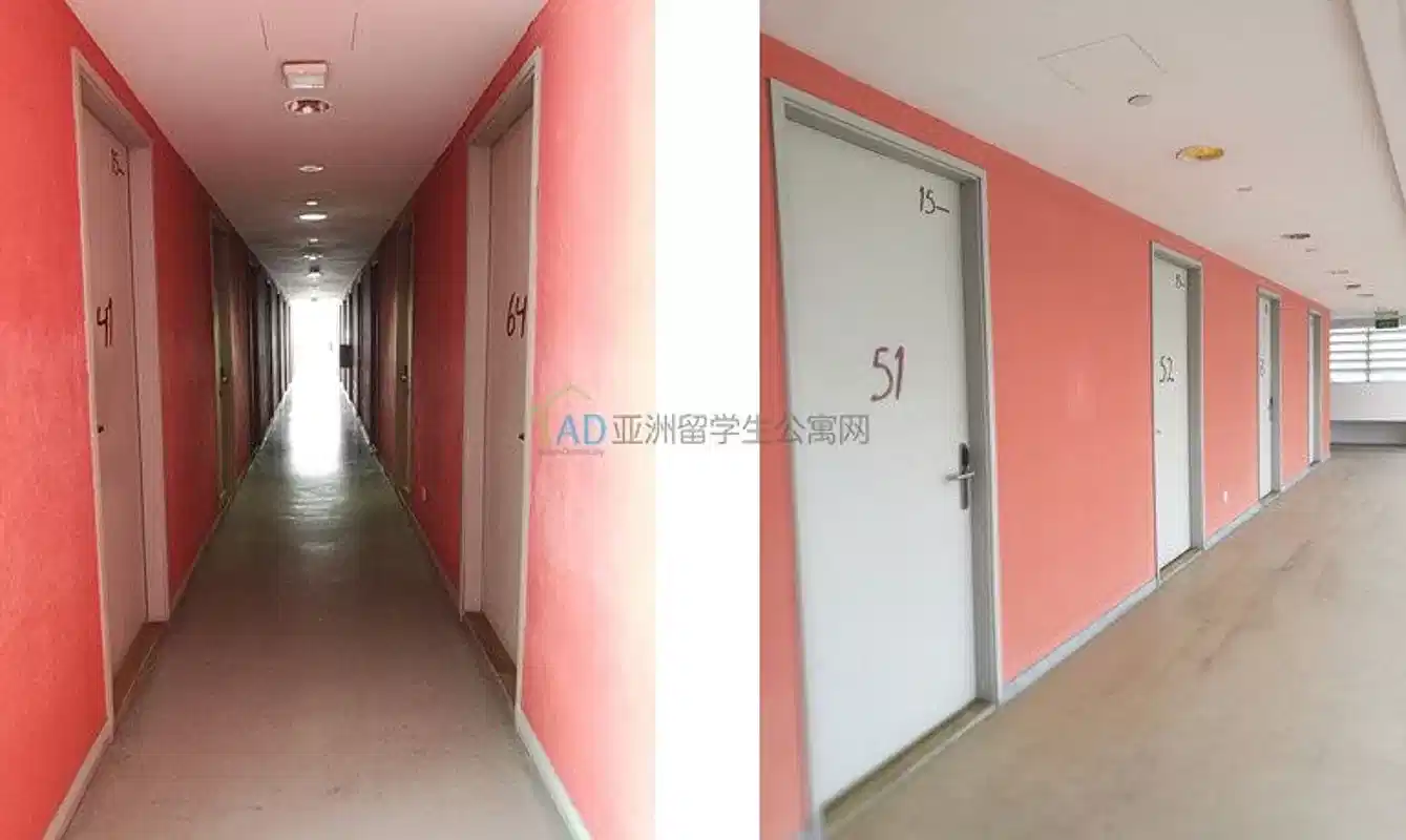 Kitchen?w=400&h=260&fit=crop&q=40&auto=format&trim=auto