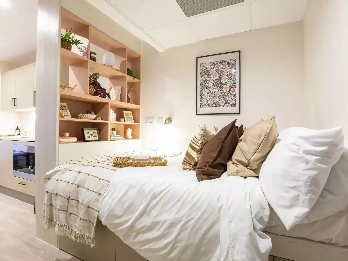 Deluxe Studio Plus (Floors 1-9)