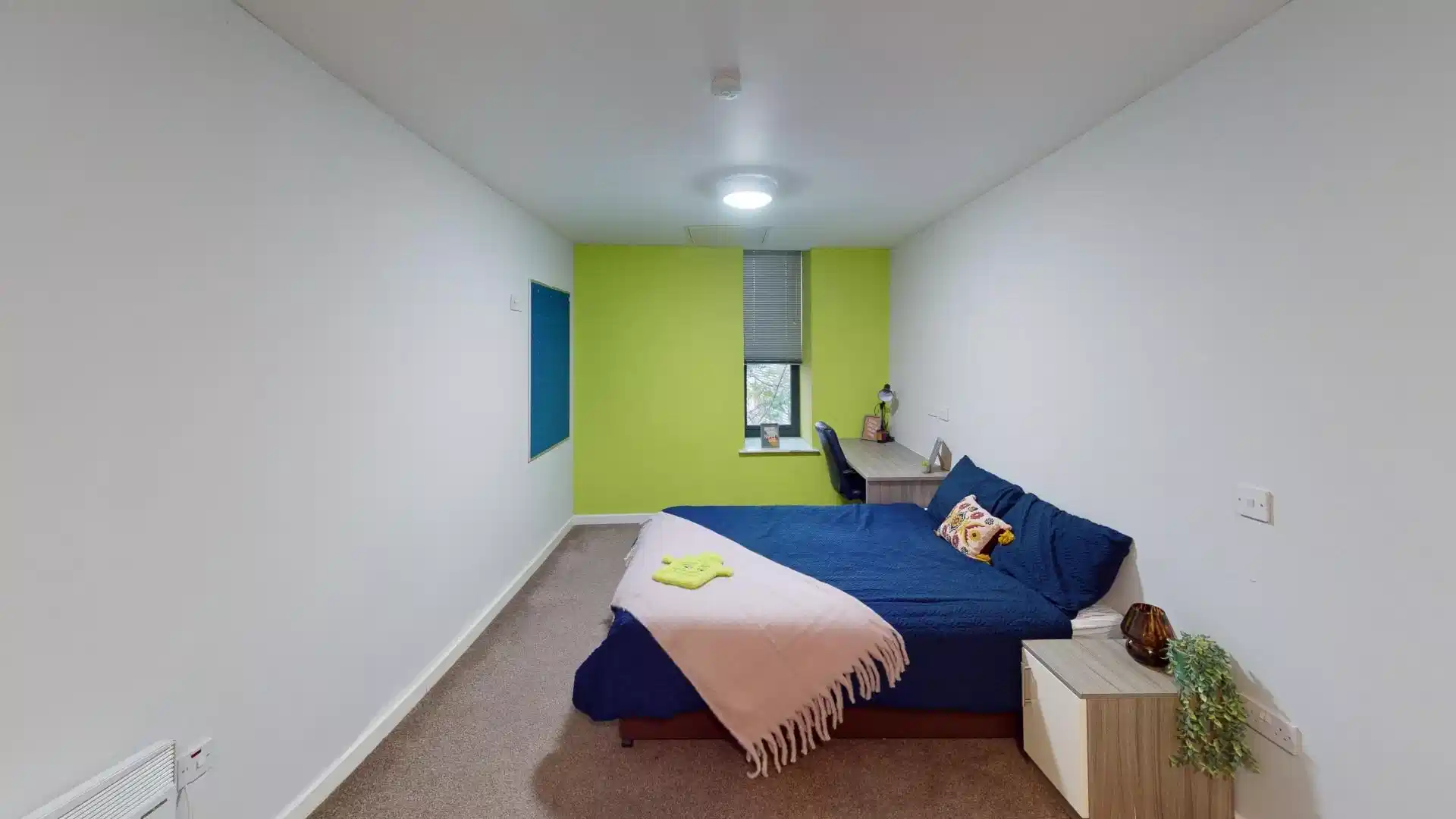 Superior Plus Studio - Kitchen?w=400&h=260&fit=crop&q=40&auto=format&trim=auto