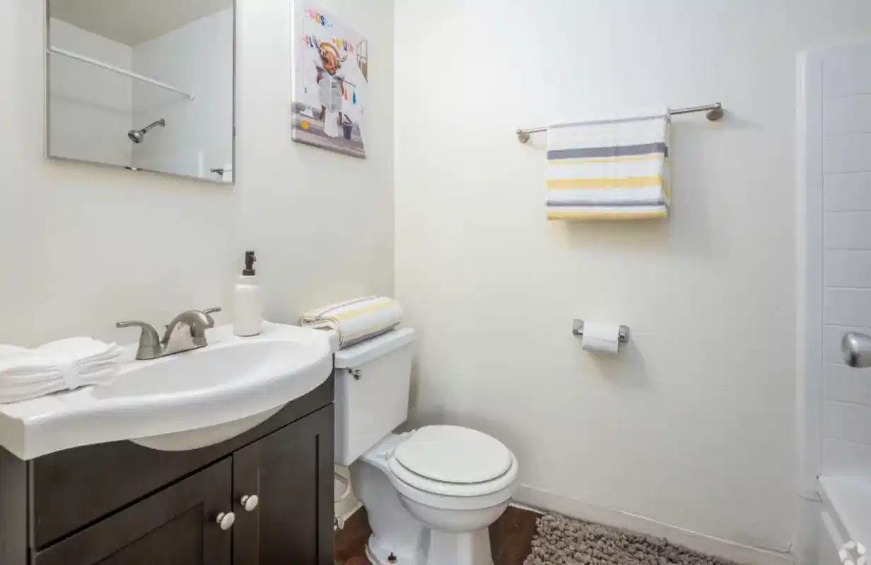 Academy Lane Apartments, Davis - Davis, California, United States - Bathroom