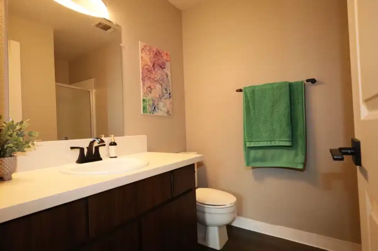 El Macero Apartments, Davis - Davis, California, United States - Bathroom