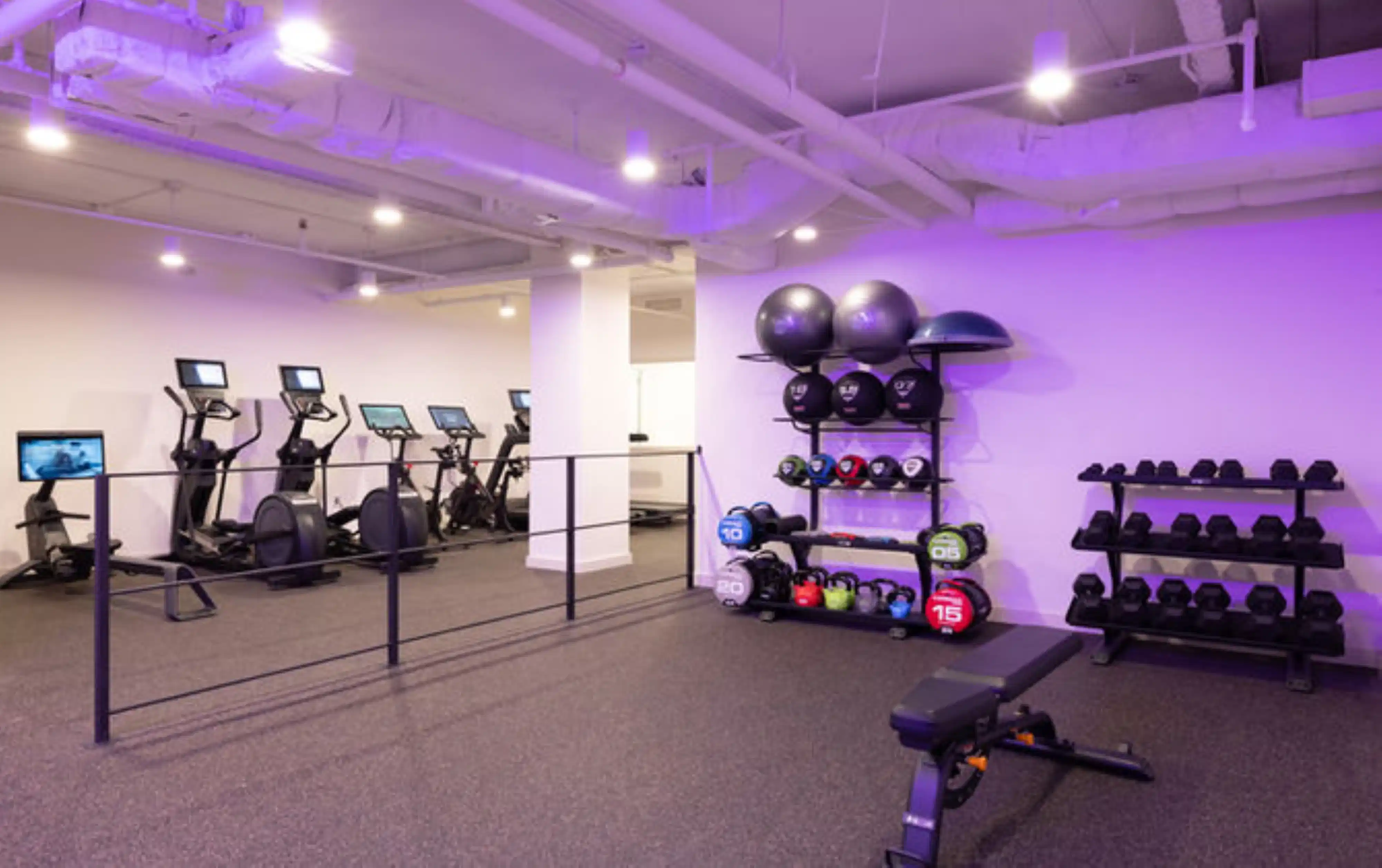 Financial District, New York - New York City, New York, United States - Amenities