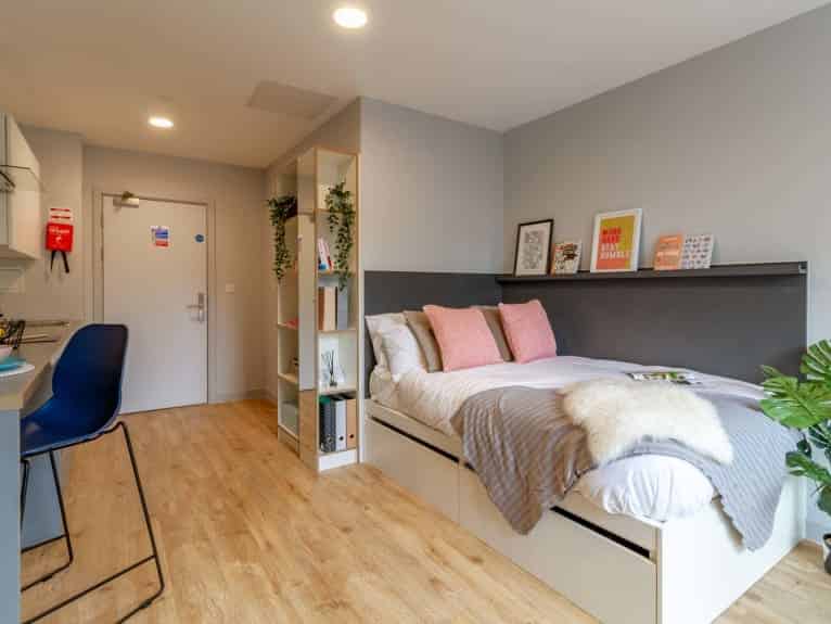 Deluxe Penthouse