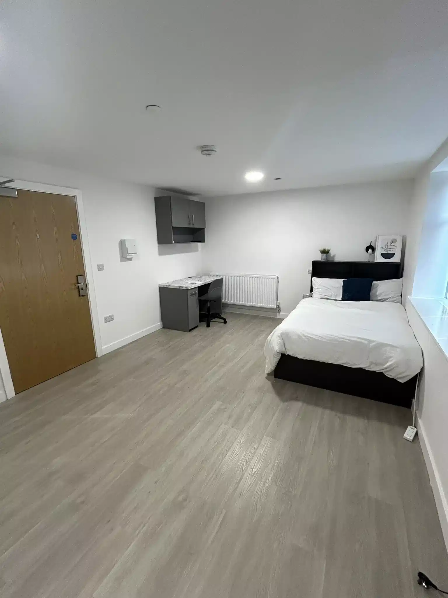 Diamond Plus Studio