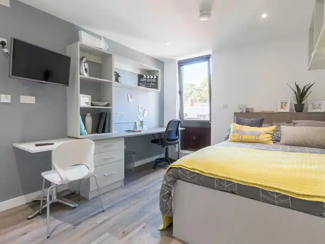 Premium Gold Studio